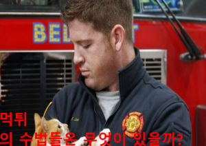 먹튀