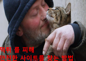 먹튀